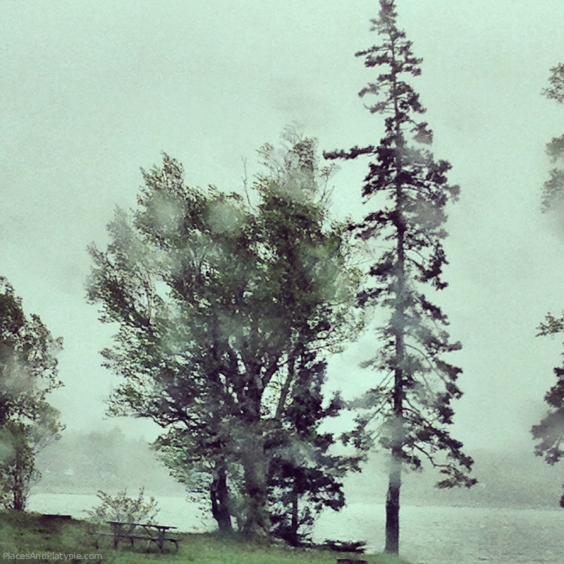 Entering Acadia National Park in the rain