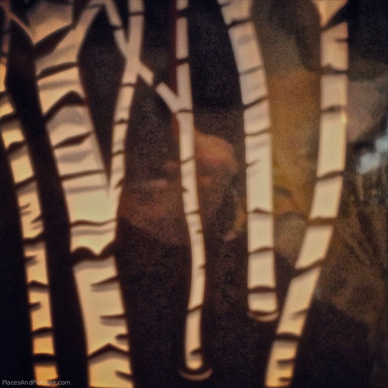 Instagram altered piece of a greeting card in a git shop