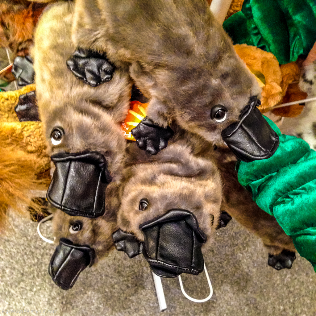 I'm still kicking myself for not buying at least one of these adorable platypus babies in the gift shop..