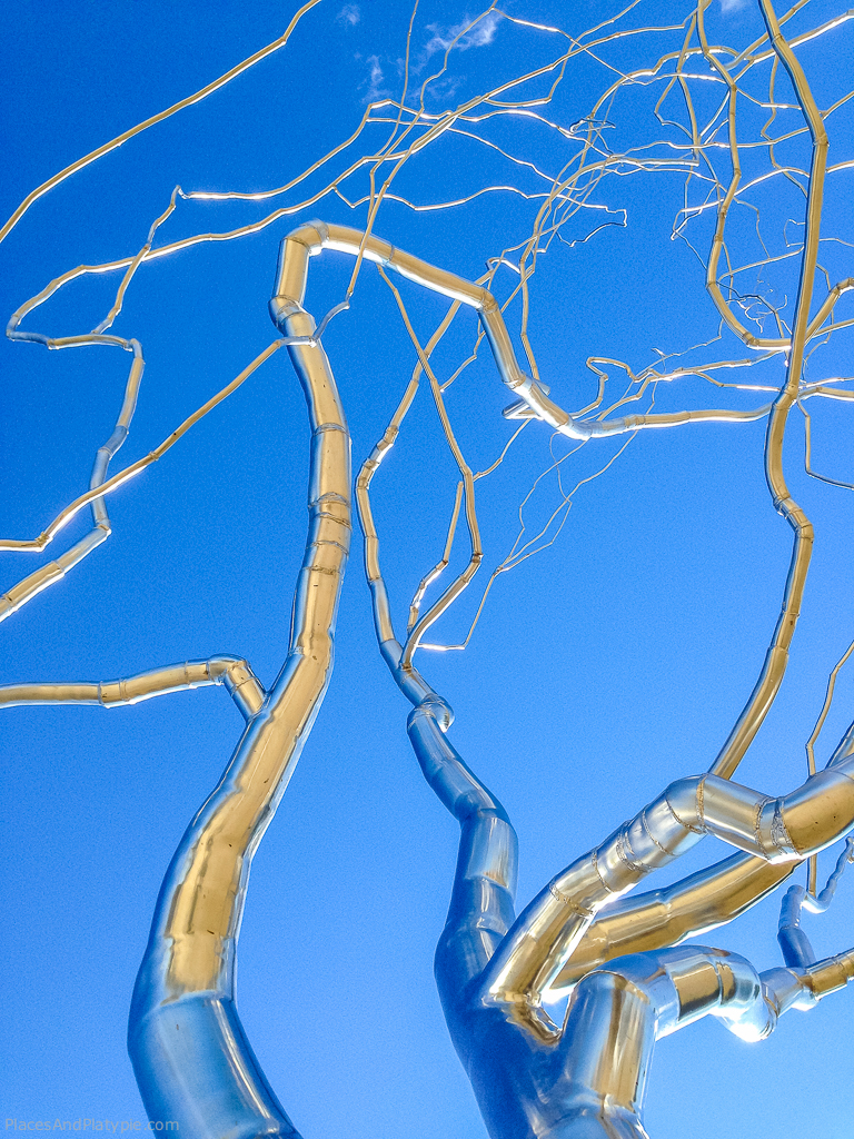 Ok, I do love the trees...