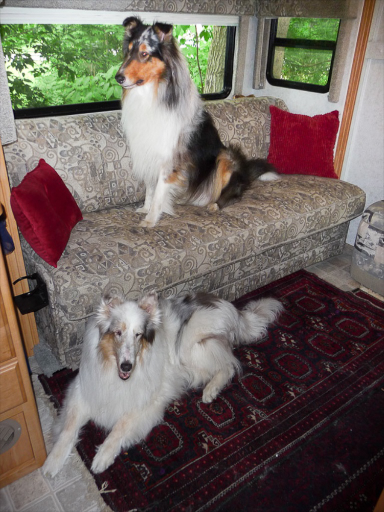 Frida and Sully welcome jon and Ryan to their living room.