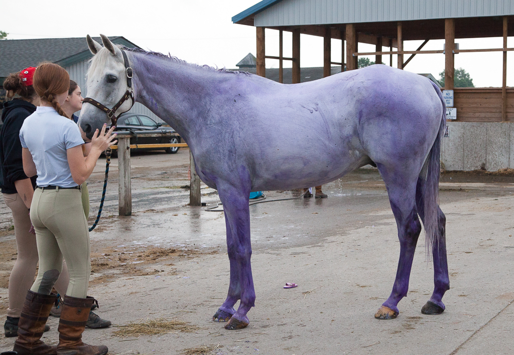 How do you make a white horse white?