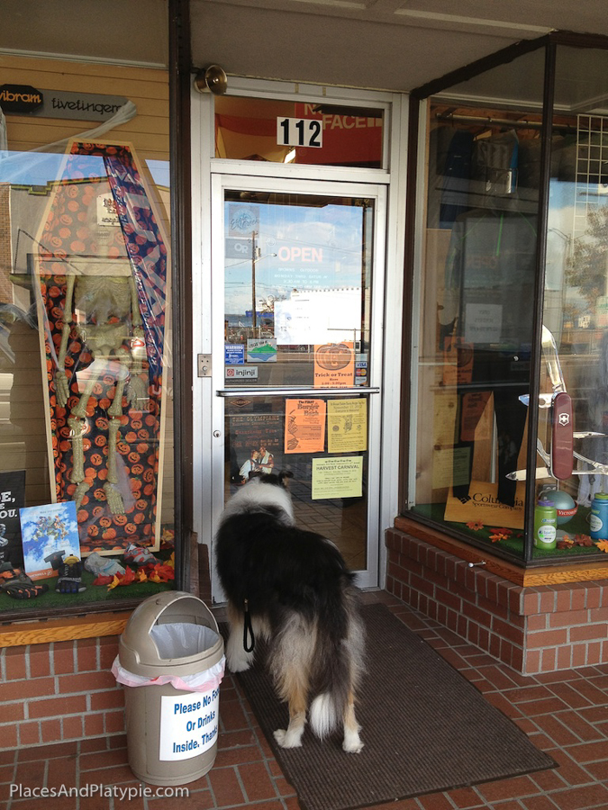 Excuse me, dogs seem to be welcomed inside.