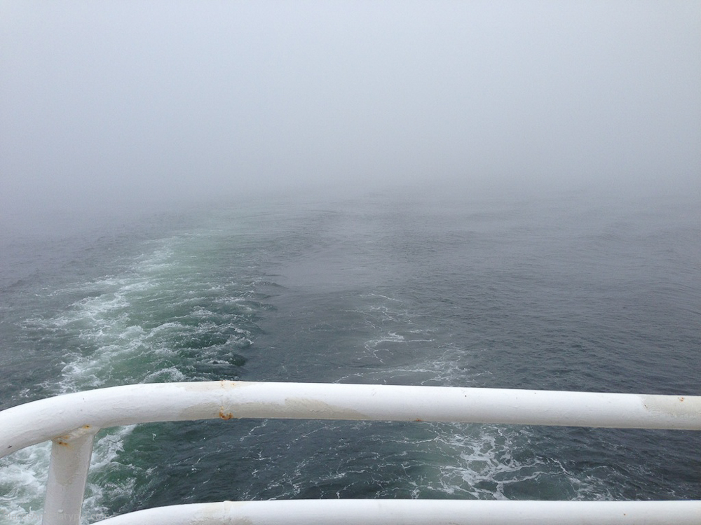 Back to the mainland… But for the fog, I am sure we would have seen dolphins behind the boat leaping in it's wake.
