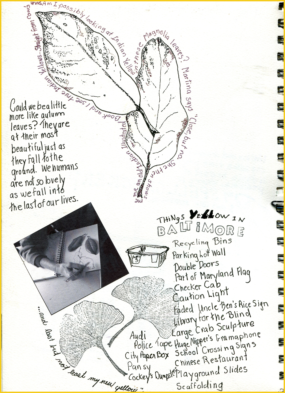 No yellow in my sketchbook