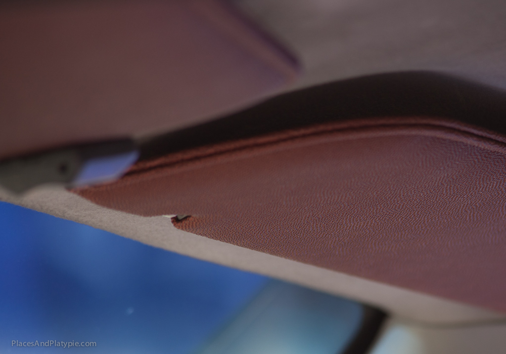 PIGSKIN used to upholster the VISORS!!! SO KOOL!!