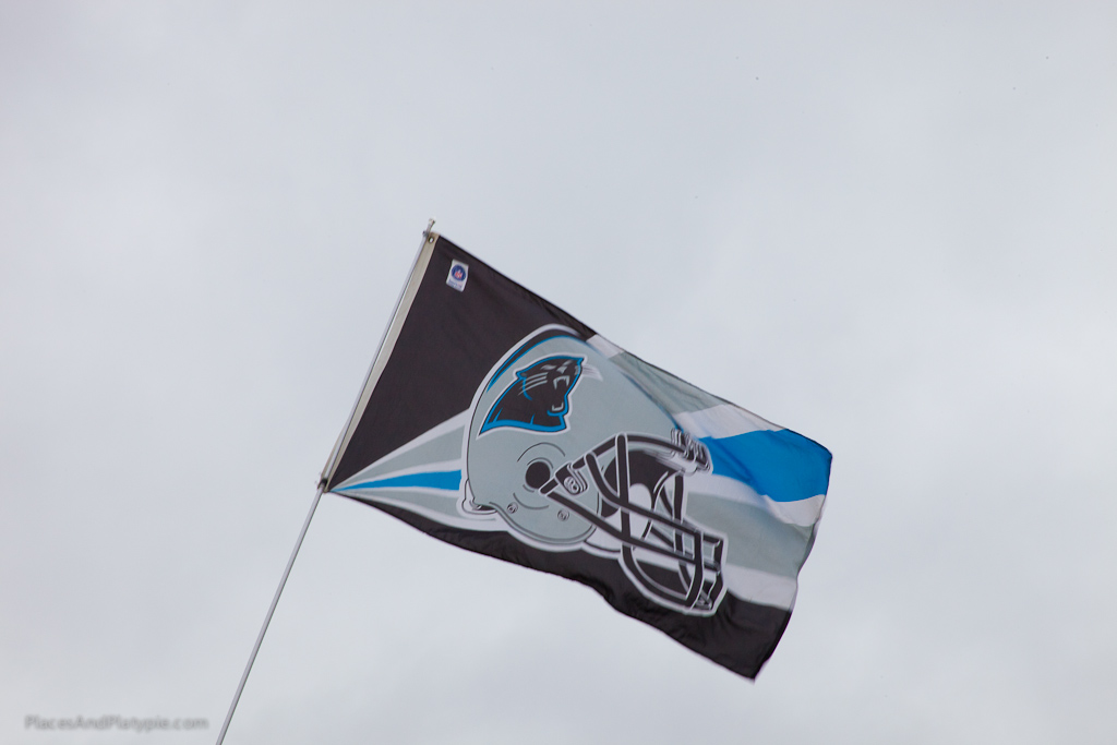 Rippling Panther Banners