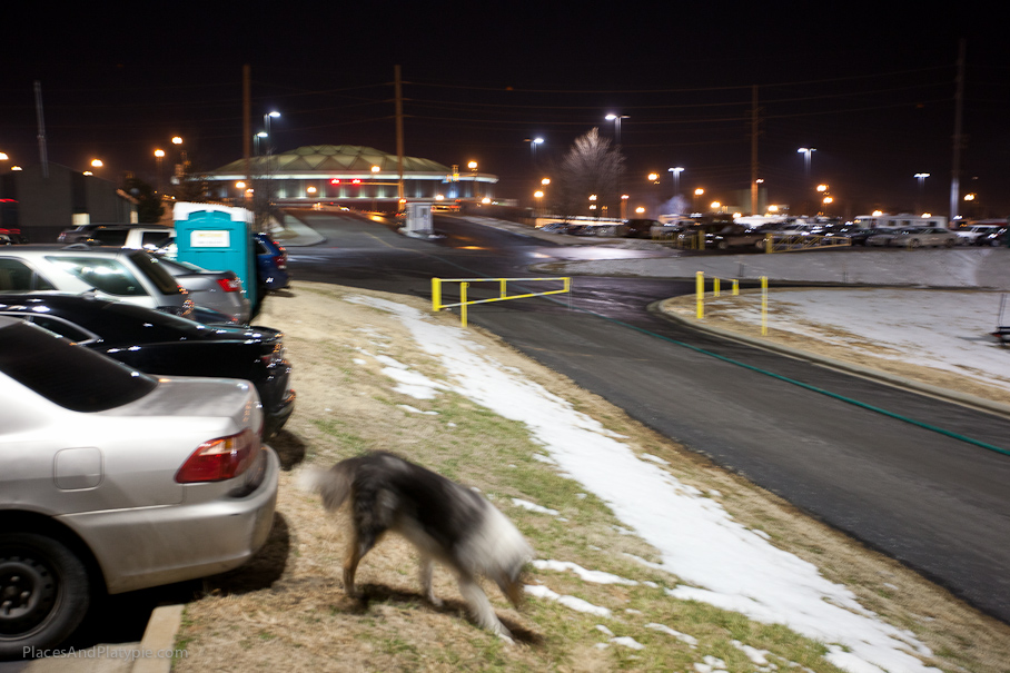 Hurry, Sully!  Let's get back to the game!