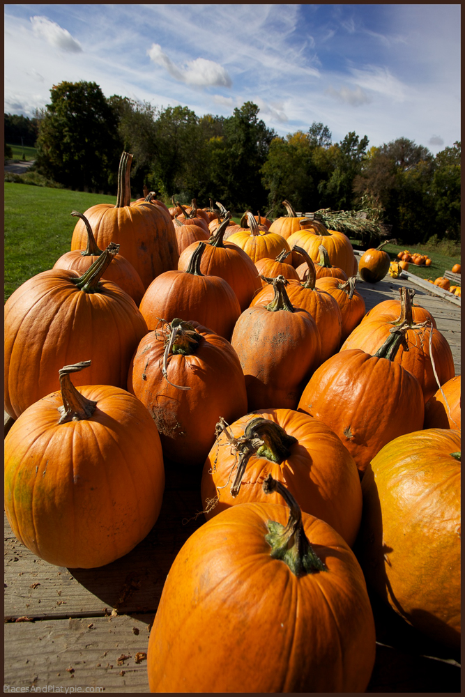 They do pumpkins and Christmas trees as well. They close after Christmas until the following August.