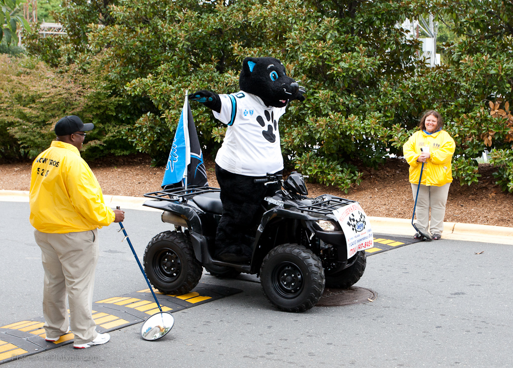 Sir-curity Check!  (Sir Purr, that is!)