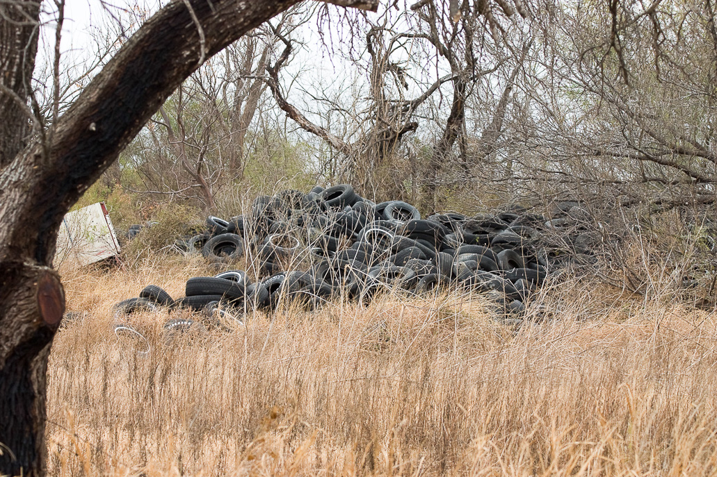 Another direction, another view.