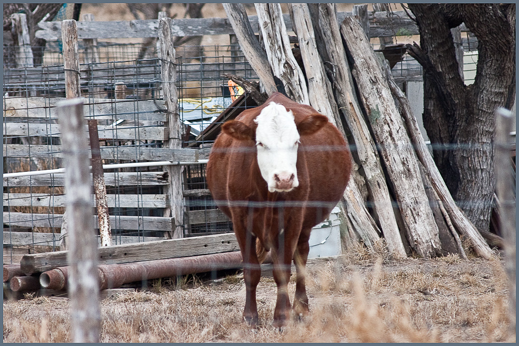 …and a neighbor to the west.