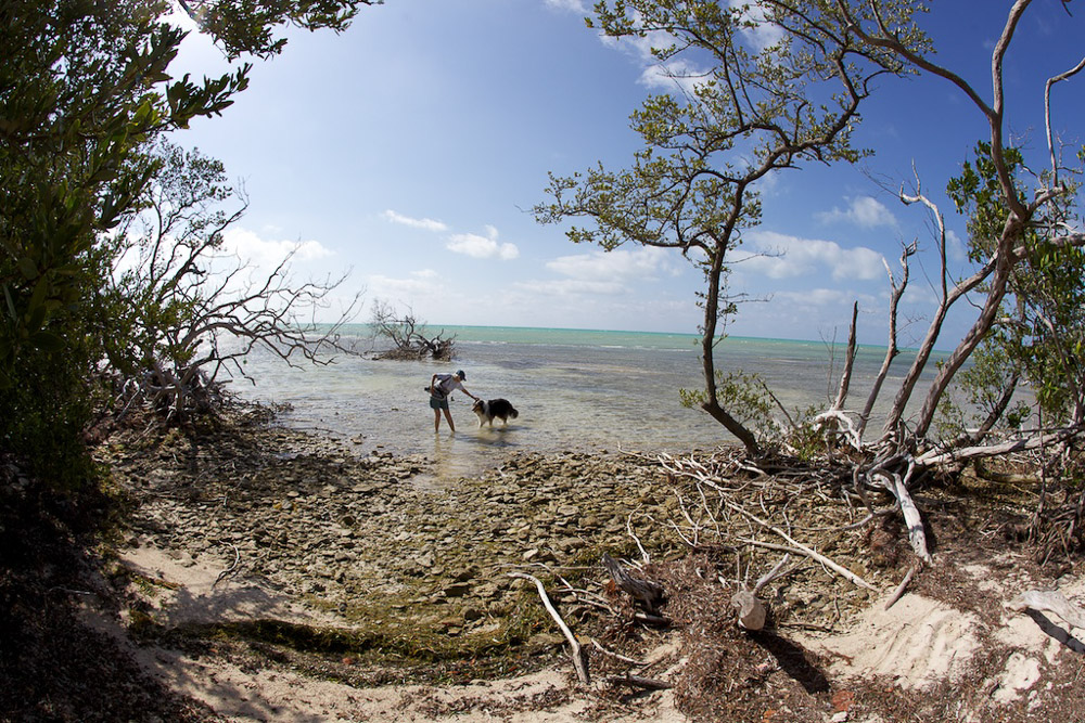 Mama has treats for me.