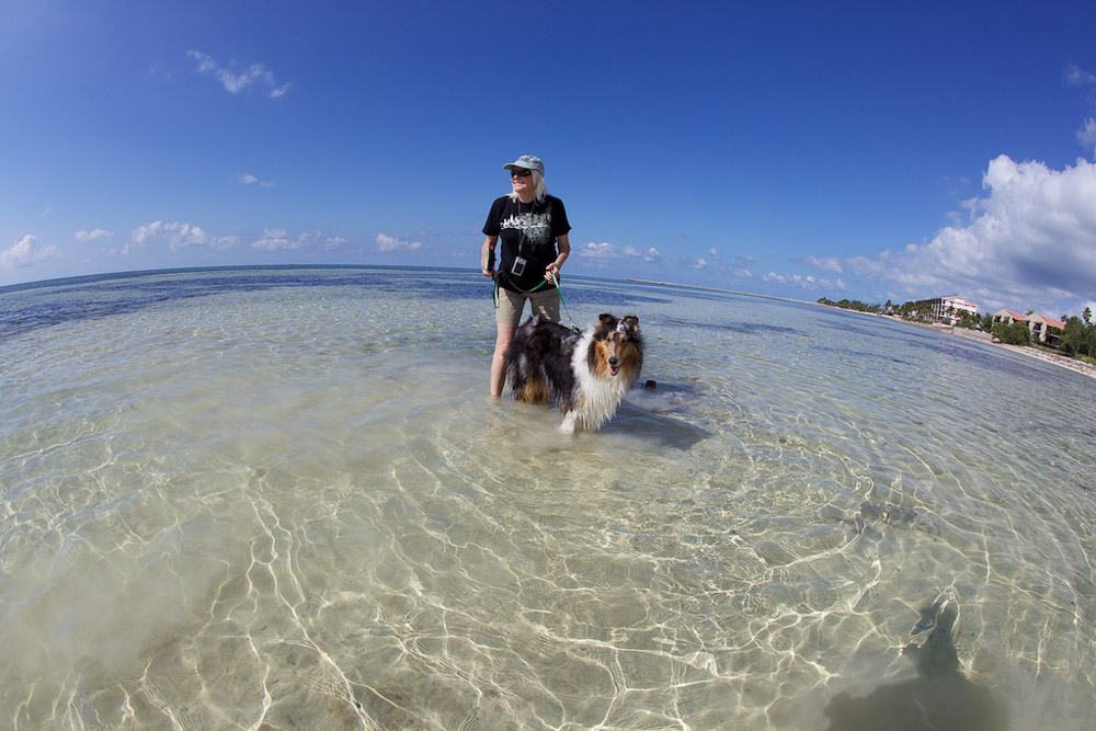 We are looking for sea glass.