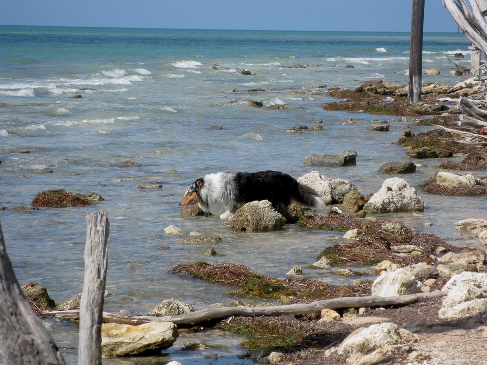Old Route 1 is underwater here.