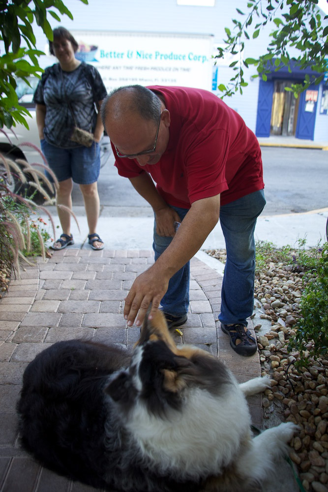 More fans, but these have a little treat for me. Smart.