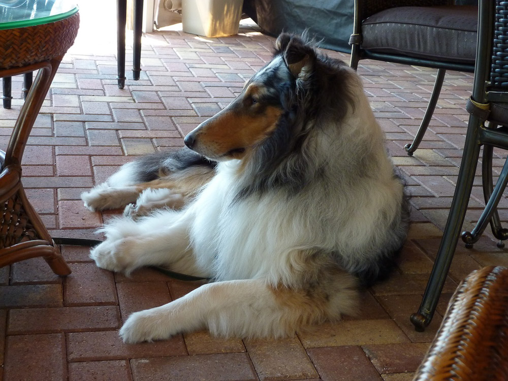 Enjoying the breeze off the water in our tiki hut