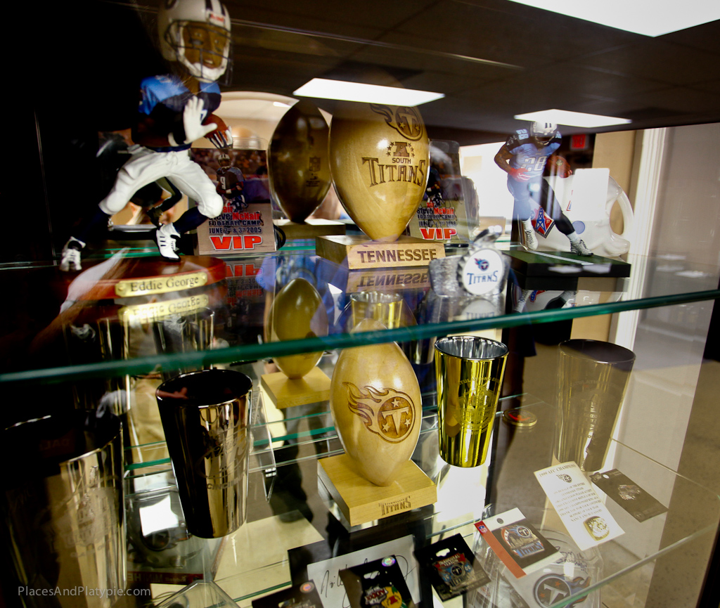 This Titans Fan is WORLD CLASS.